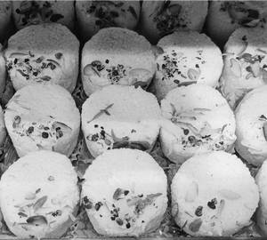 Special Danedar White Khoya Malai Peda 