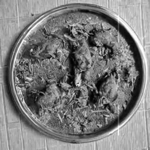 Chicken Nawabi
