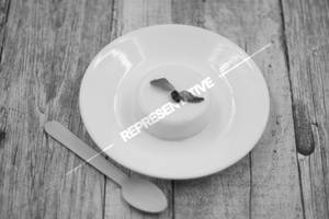 Tender Coconut Pudding 
