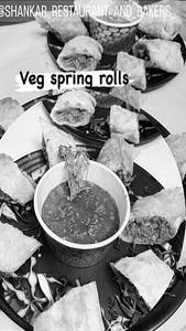 Veg Spring Roll