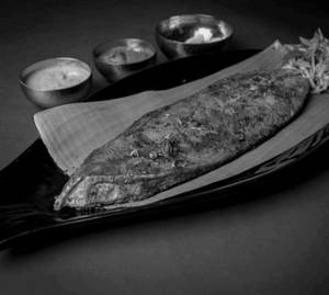 Surmai Tawa Fry