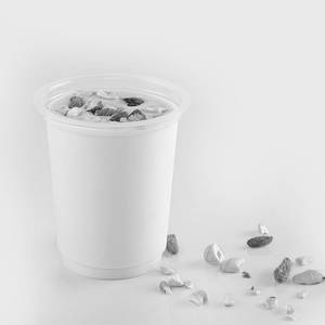 Rajwadi Lassi with Ice Cream