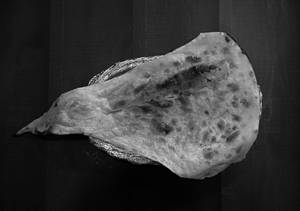 Butter Naan