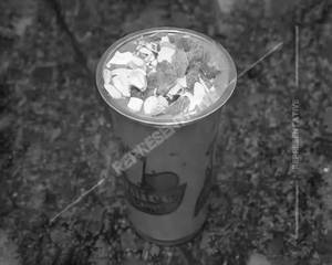Royal Dry Fruit Faluda