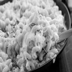 Alfredo Cheese Sauce Pasta