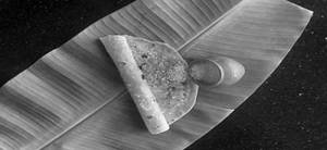 Chapati Ghee Sugar Roll
