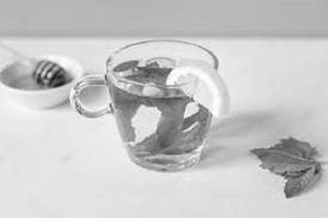 Mint Tea