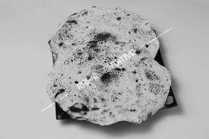 Papad