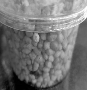 Boondi
