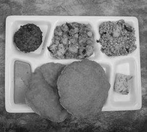 Azad Farali Thali