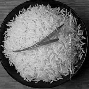 Plain Rice                                   