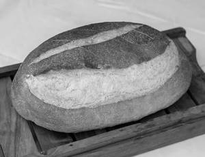 Sour Dough Bread Loaf