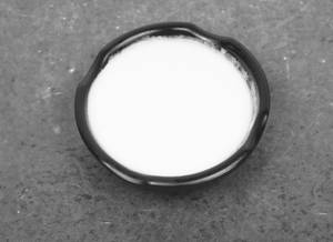 Plain Curd