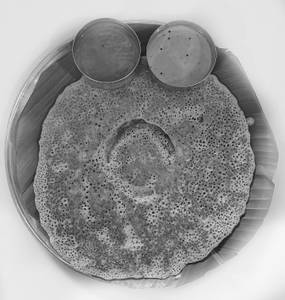 Thuppa dosa