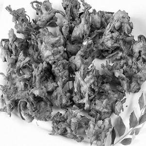 Pyaz Pakode