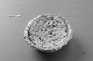 Pudina Kulcha