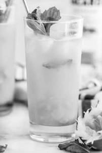 Mango Mojito