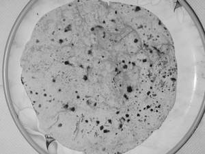 Roti