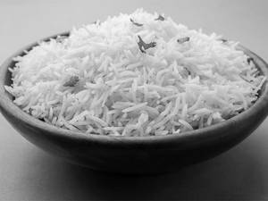 Rice Plain