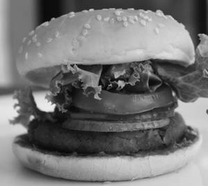 Crispy Burger 