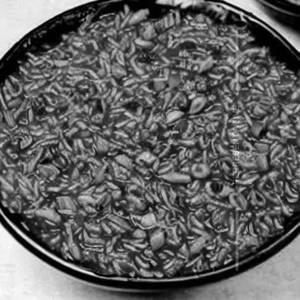 Chilly Onion Rice
