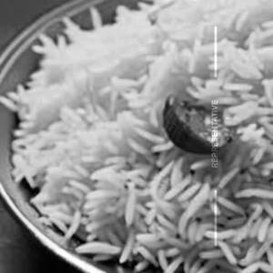 Basmati Rice