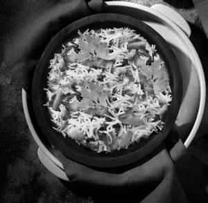 Veg Biryani