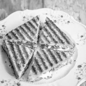 Veg Cheese Grill Sandwich