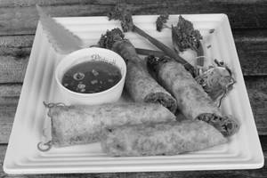 Veg Spring Roll
