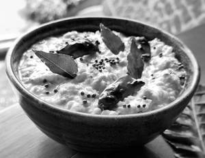 Curd Rice