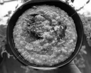 Tadka Khichdi