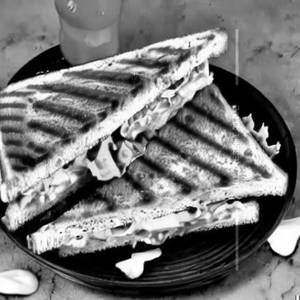 Chicken Grilled Sandwich