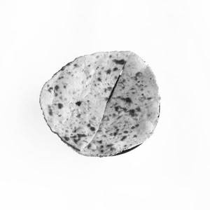 Missi Roti
