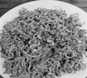 Yippip maggi
