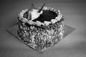 Chocolate Crunch Cake