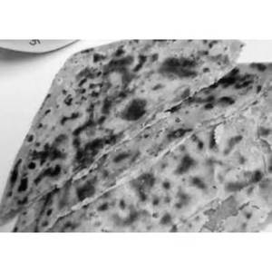 Ajwain Tawa Paratha