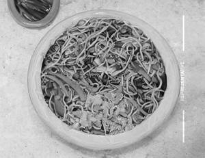 Veg Noodle Bowl