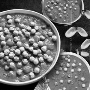 Peas Tomatoes