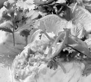 Fish Packchoi
