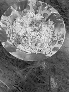 Plan Rice
