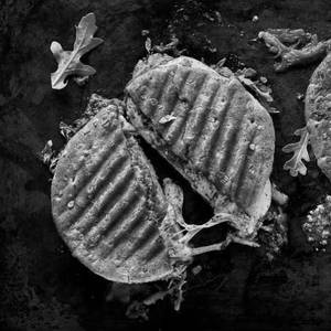 Paneer Tikka Grilled Panini