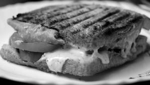 Jumbo cheese samosa sandwich