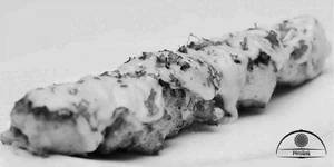 Chicken Cheese Kebab - Cheesy