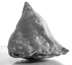 Samosa