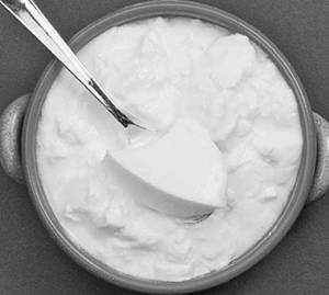 Plain Curd