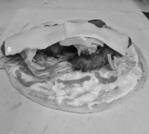 American Fish Roll