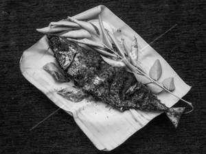 Ayala Fry [Mackerel]