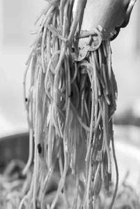 Hong Kong Noodles