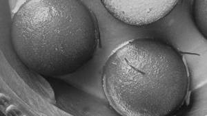 Hot Gulab Jamun