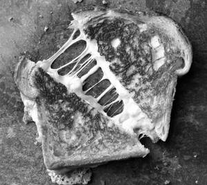 Cheese Grill Sandwich